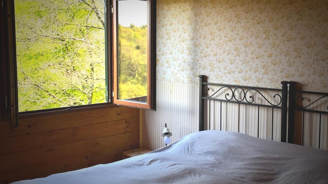 Night In The Wood Sorbo Villa กัมปาญญาโน ดิ โรมา ภายนอก รูปภาพ