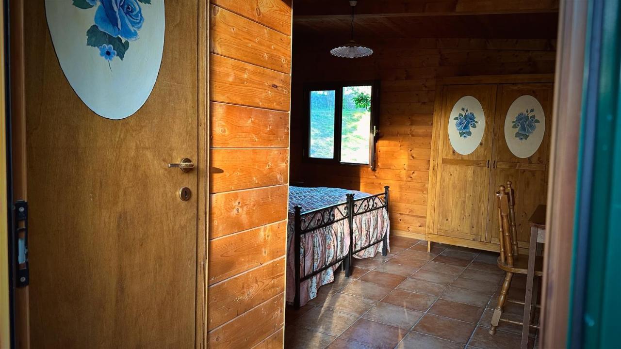 Night In The Wood Sorbo Villa กัมปาญญาโน ดิ โรมา ภายนอก รูปภาพ