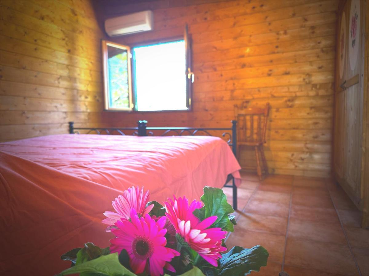 Night In The Wood Sorbo Villa กัมปาญญาโน ดิ โรมา ภายนอก รูปภาพ