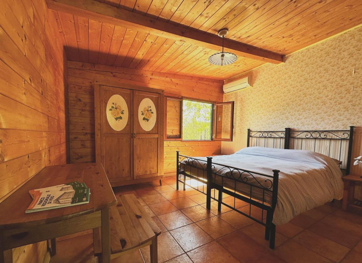 Night In The Wood Sorbo Villa กัมปาญญาโน ดิ โรมา ภายนอก รูปภาพ