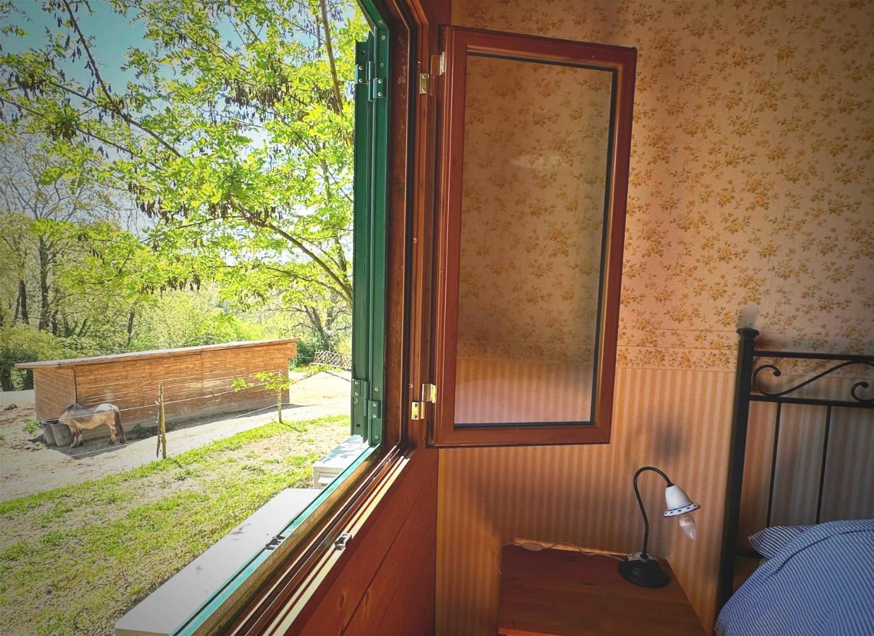 Night In The Wood Sorbo Villa กัมปาญญาโน ดิ โรมา ภายนอก รูปภาพ