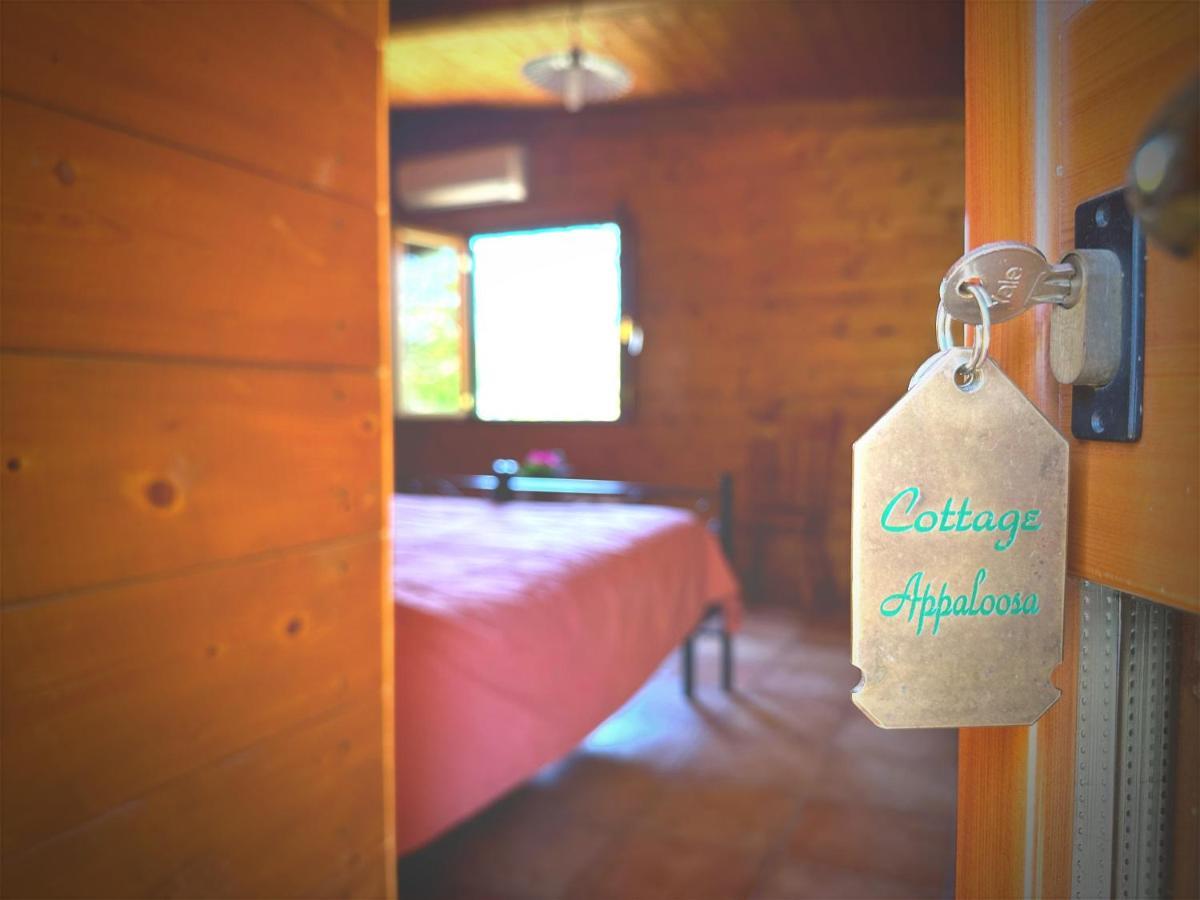 Night In The Wood Sorbo Villa กัมปาญญาโน ดิ โรมา ภายนอก รูปภาพ