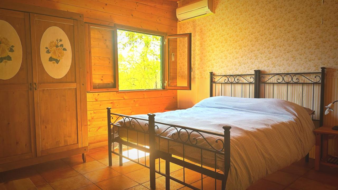 Night In The Wood Sorbo Villa กัมปาญญาโน ดิ โรมา ภายนอก รูปภาพ